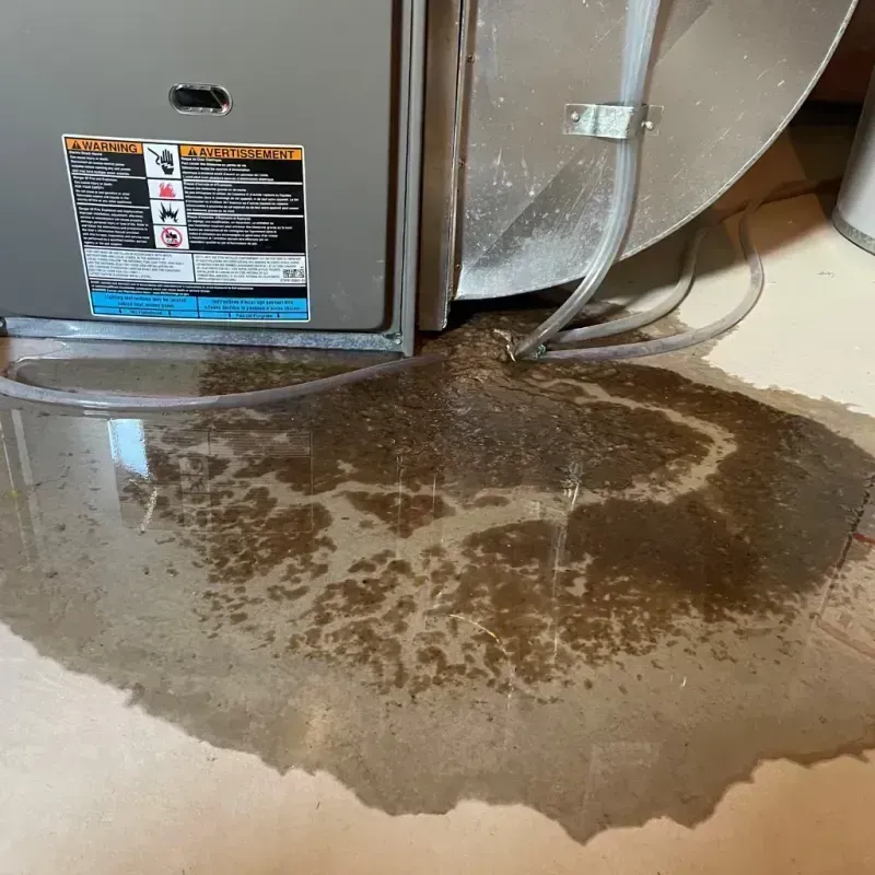 Appliance Leak Cleanup in Yakutat City and Borough, AK